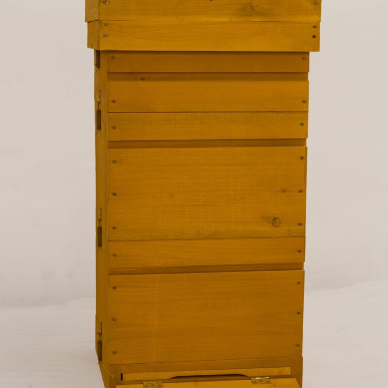 Ul Wielkopolski 10 R MALOWANY | Wejmutka | Dennica higieniczna | 2 korpusy | 1 półkorpus