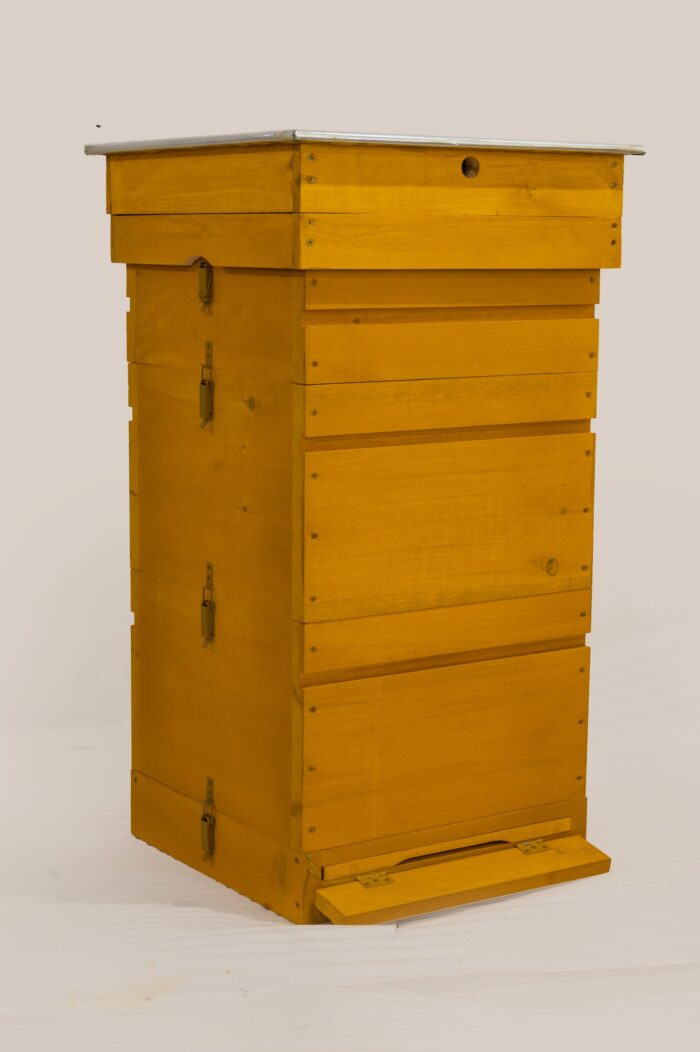 4.2-scaled-1 4.2-scaled-1