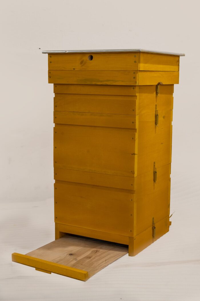 4.3-scaled-1 4.3-scaled-1