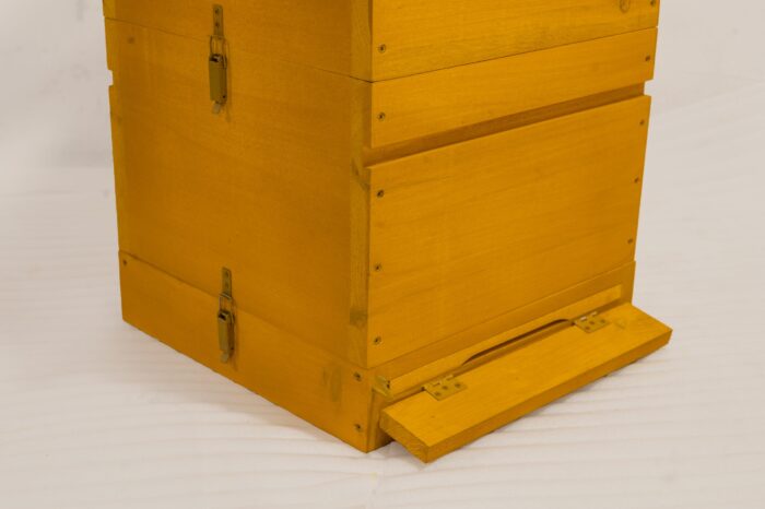 4.4-scaled-1 4.4-scaled-1