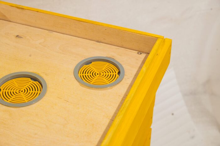 4.6-scaled-1 4.6-scaled-1