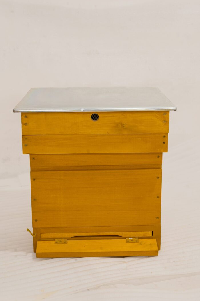 5.1-scaled-1 5.1-scaled-1