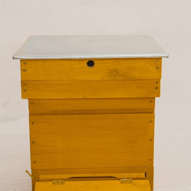 Ul Wielkopolski 10 R MALOWANY | Wejmutka | Dennica higieniczna | Wersja podstawowa