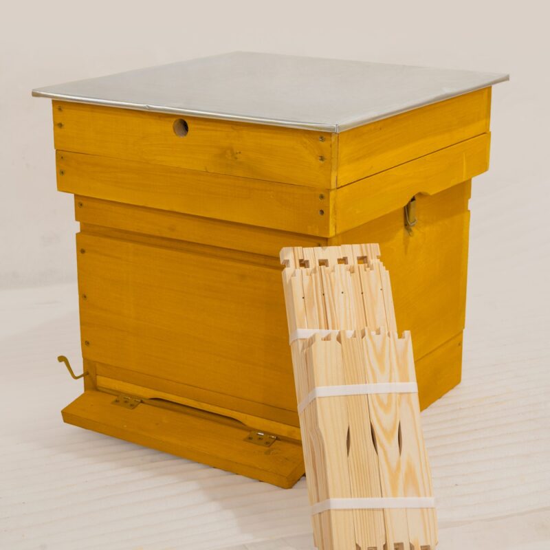 Ul Wielkopolski 10 R MALOWANY | Wejmutka | Dennica higieniczna | Wersja podstawowa + 10 ramek