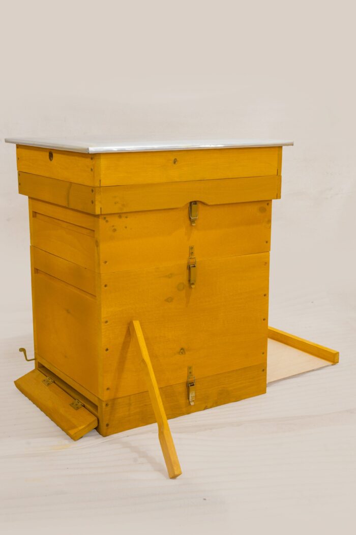 DSC_0109-scaled-1 DSC_0109-scaled-1