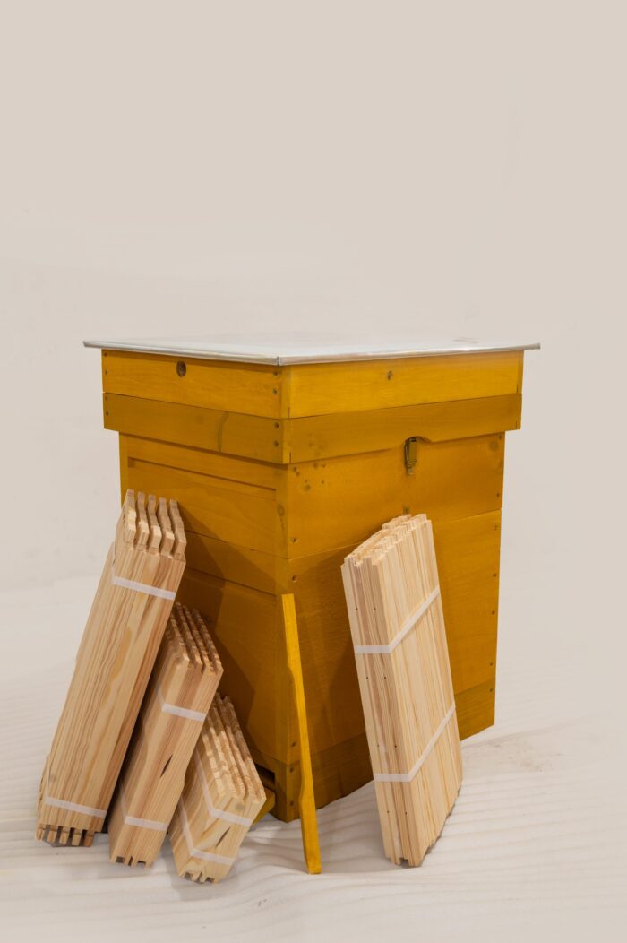 DSC_0118-scaled-1 DSC_0118-scaled-1