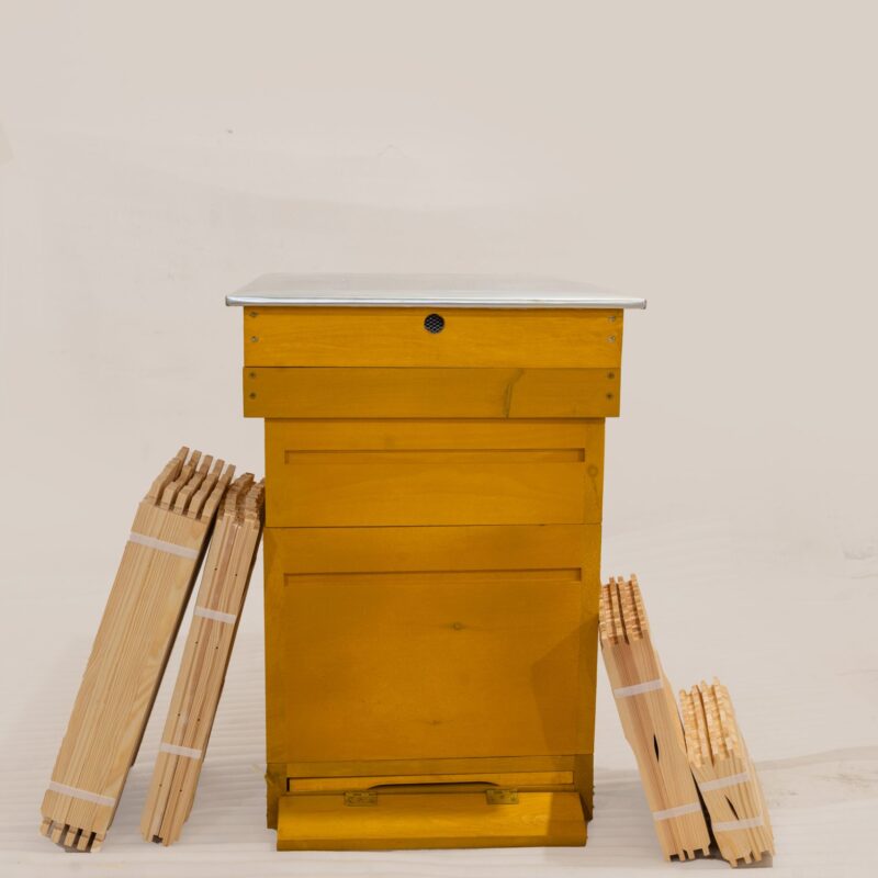 UL DADANT 10 ramkowy WEJMUTKA! malowany zestaw z ramkami!