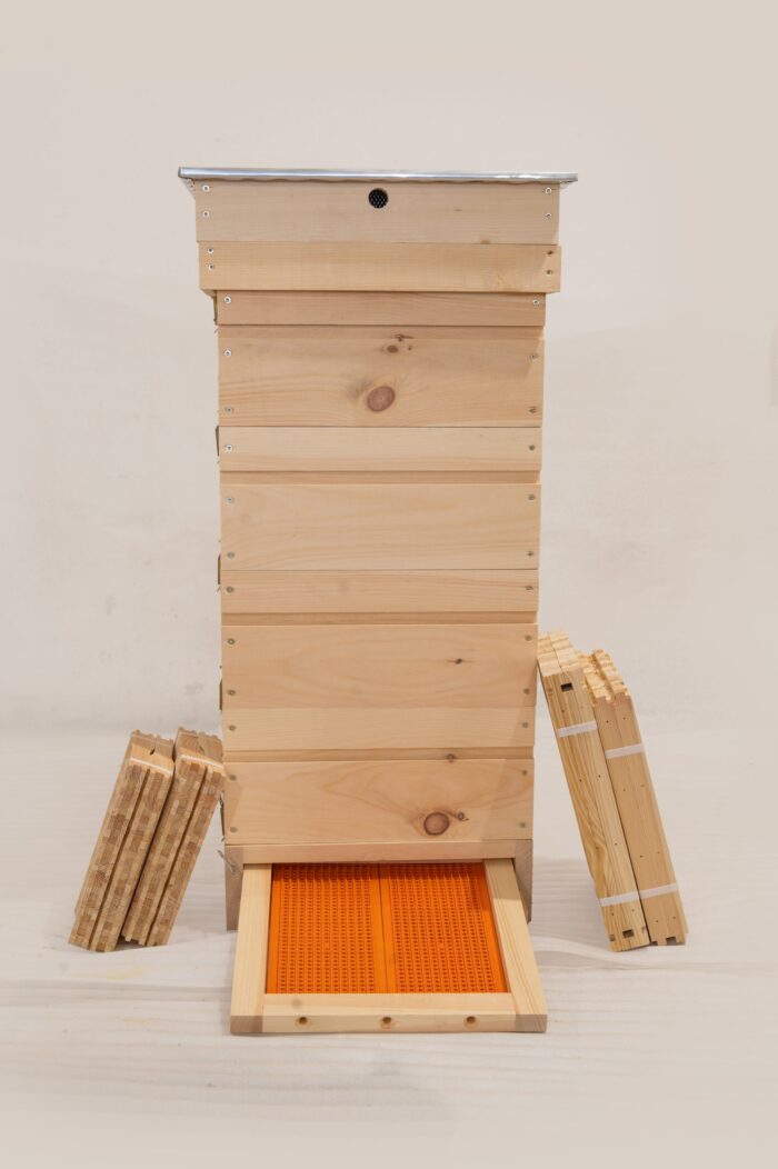 DSC_0149-scaled-1 DSC_0149-scaled-1