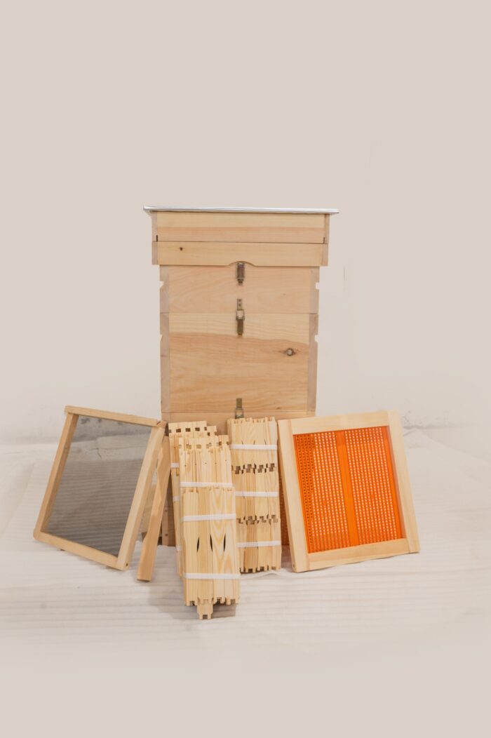 DSC_0164-scaled-1 DSC_0164-scaled-1