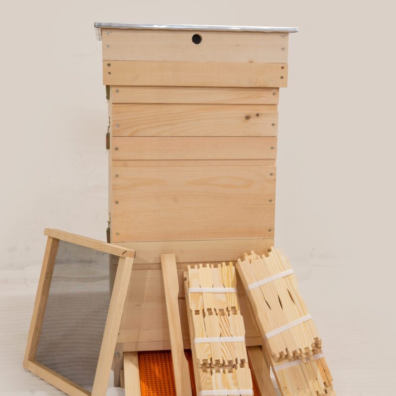 Ul Wielkopolski 10 R | Wejmutka | Dennica z poławiaczem | 2 korpusy + 20 ramek | 1 półkorpus + 10 ramek