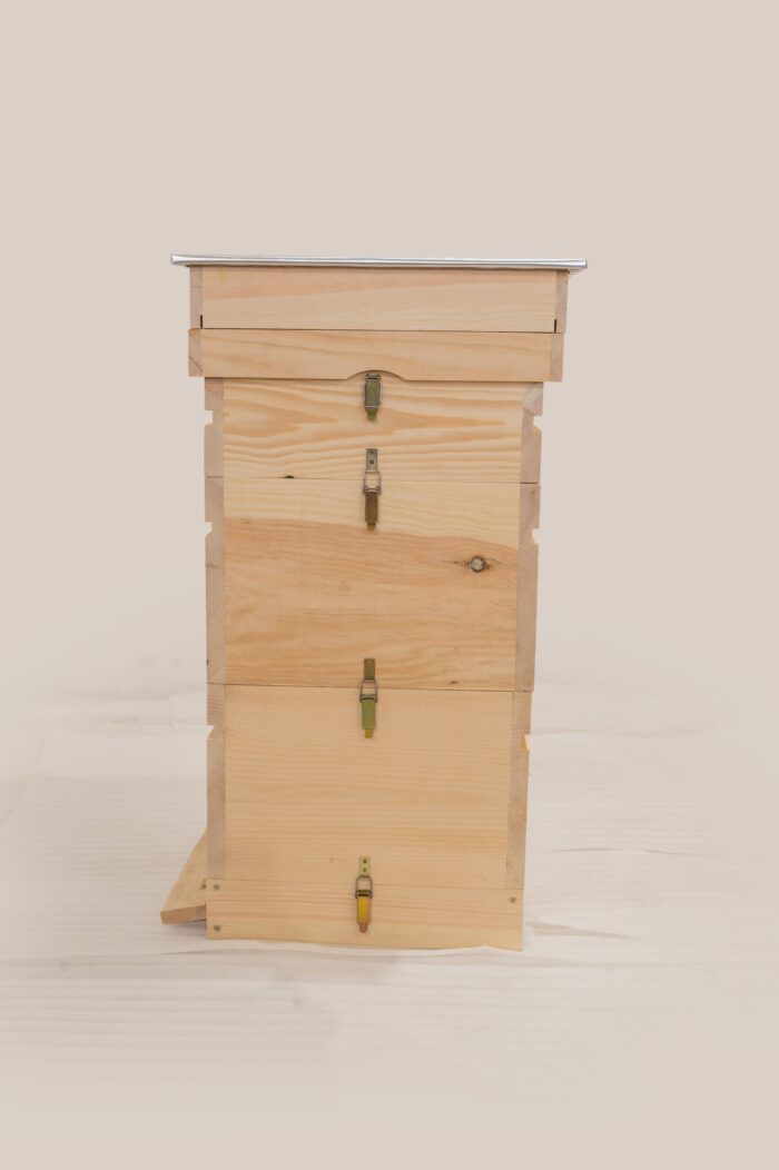 DSC_0177-scaled-1 DSC_0177-scaled-1