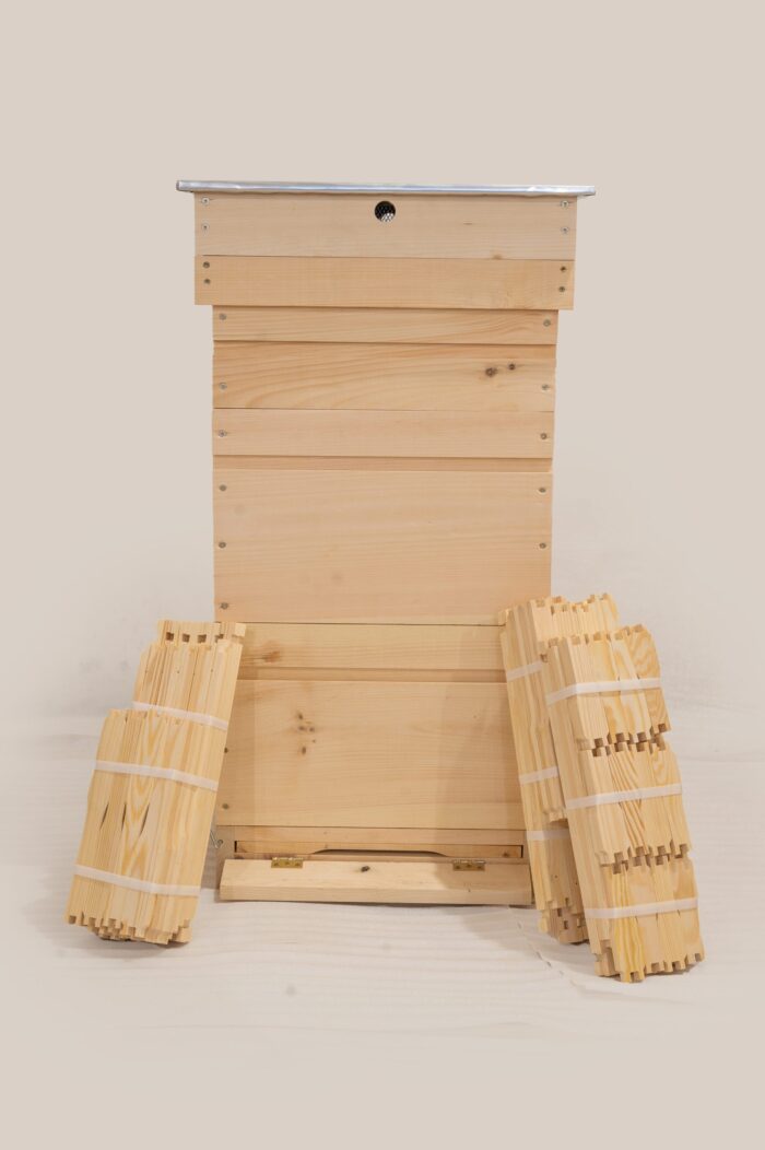 DSC_0183-scaled-1 DSC_0183-scaled-1