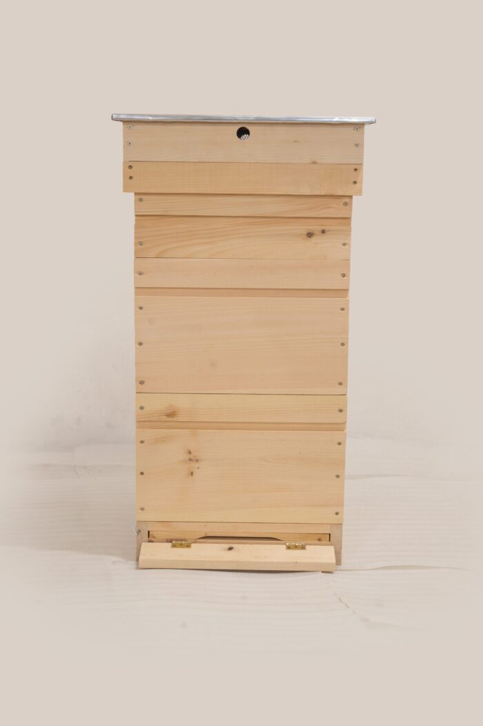 DSC_0185-scaled-1 DSC_0185-scaled-1