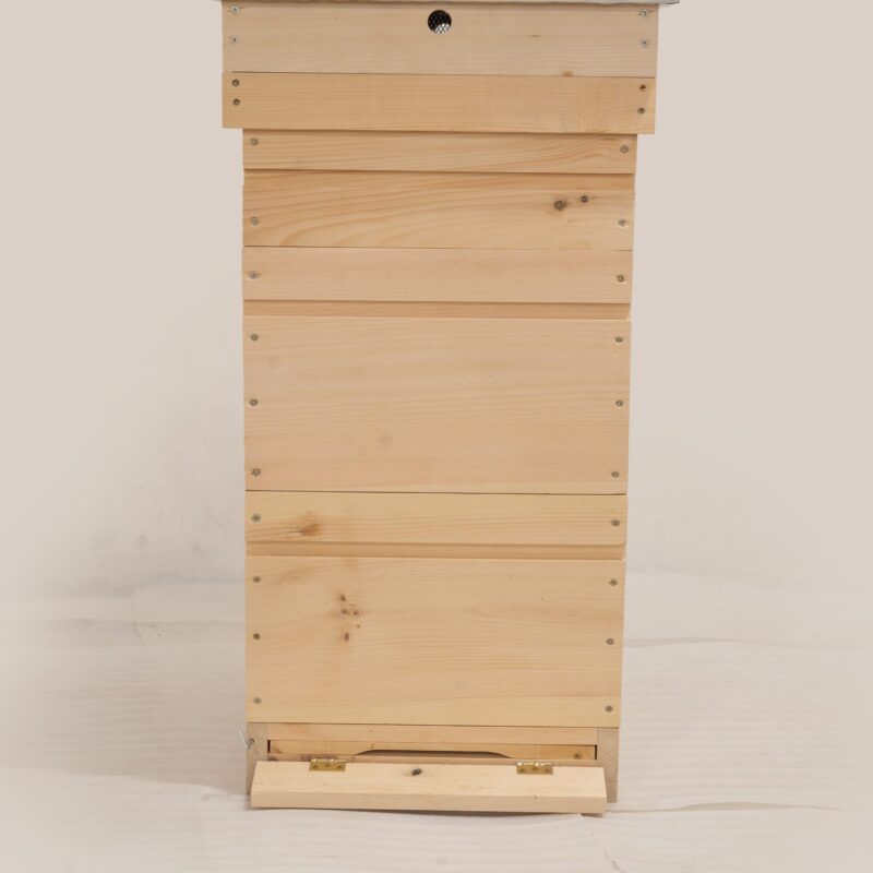 Ul Wielkopolski 10 R | Wejmutka | Dennica higieniczna | 2 korpusy | 1 półkorpus