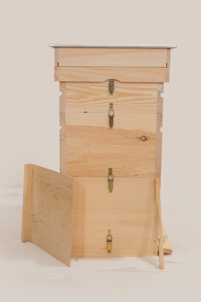 DSC_0188-scaled-1 DSC_0188-scaled-1