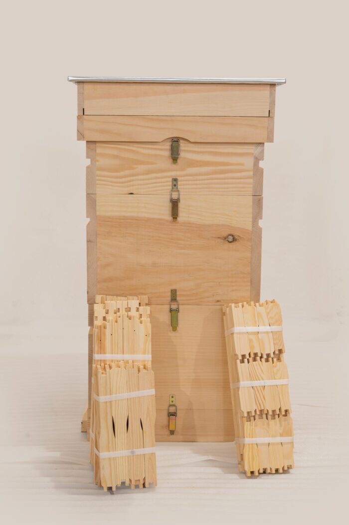 DSC_0190-scaled-1 DSC_0190-scaled-1