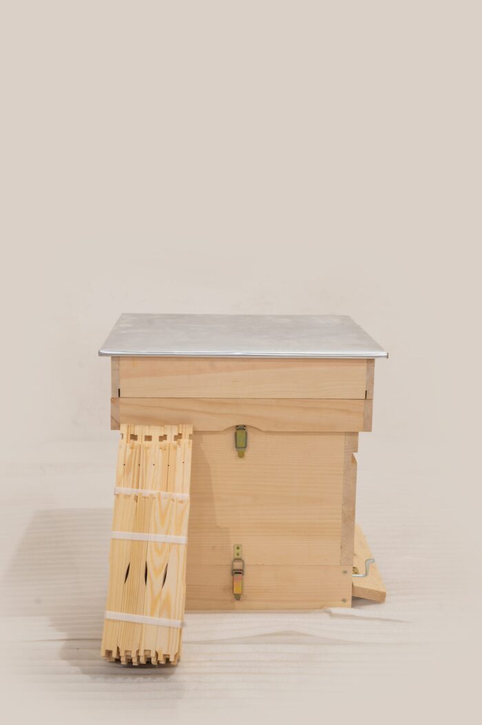 DSC_0192-scaled-1 DSC_0192-scaled-1