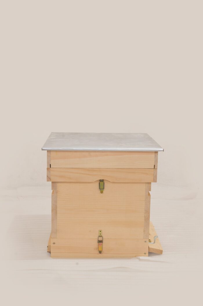 DSC_0193-scaled-1 DSC_0193-scaled-1