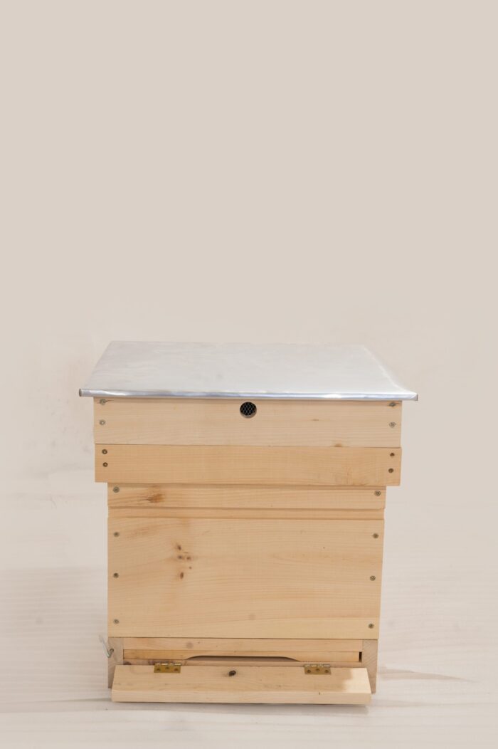 DSC_0195-scaled-1 DSC_0195-scaled-1