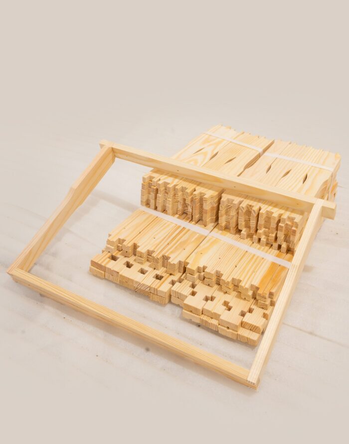 DSC_0243-scaled-1 DSC_0243-scaled-1