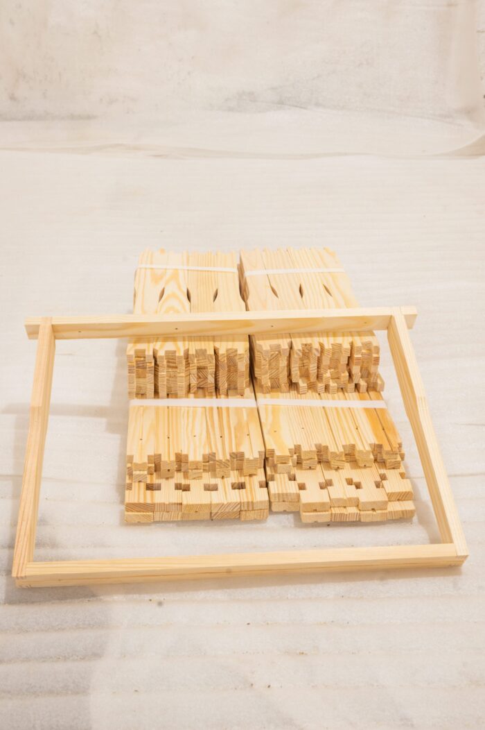 DSC_0247-scaled-1 DSC_0247-scaled-1