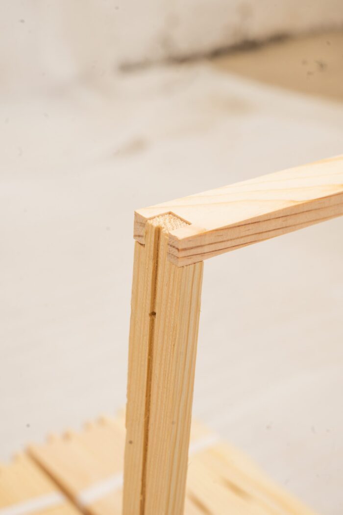 DSC_0251-scaled-1 DSC_0251-scaled-1