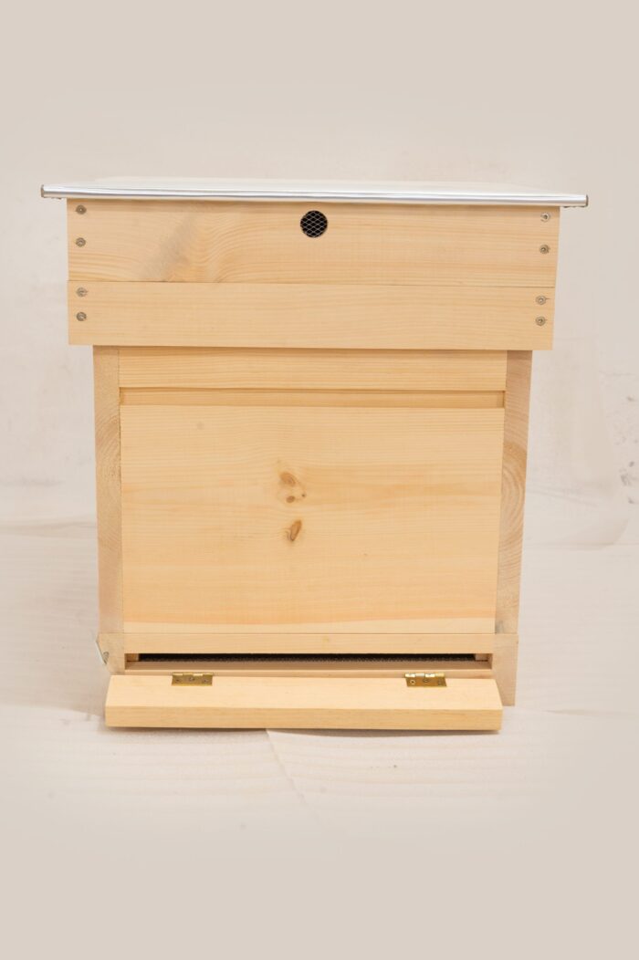 DSC_0261-scaled-1 DSC_0261-scaled-1