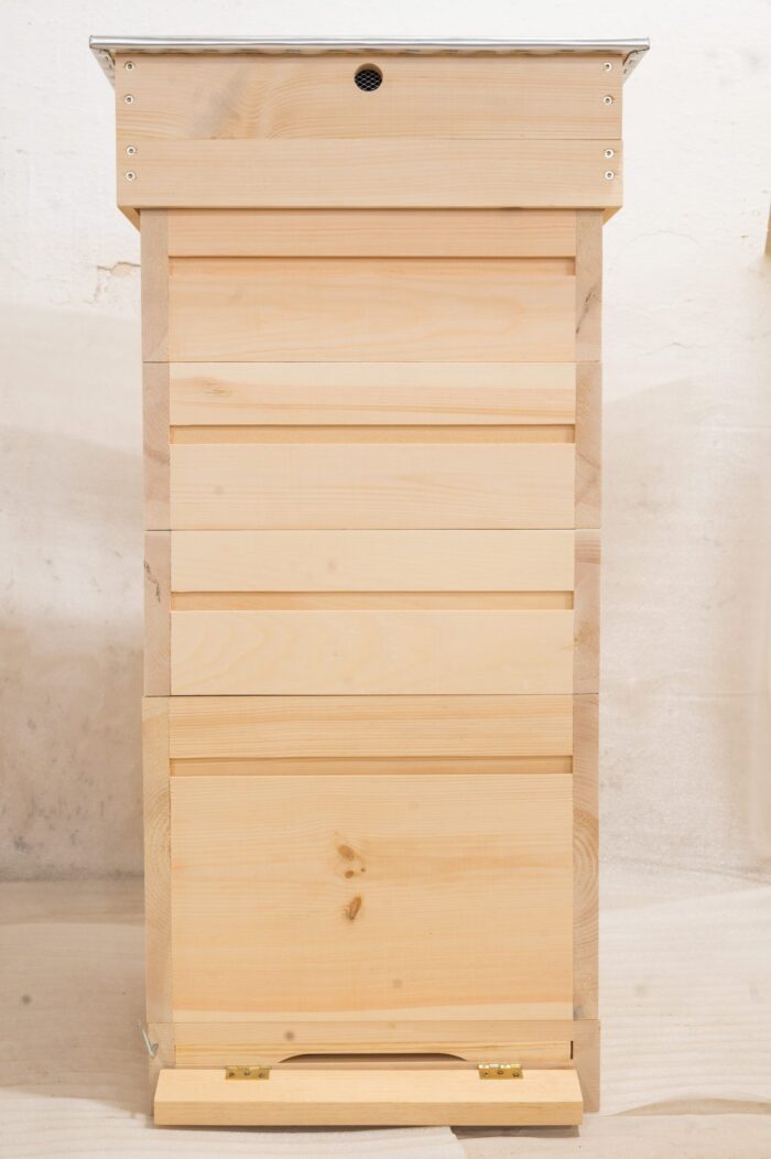 DSC_0271-scaled-1 DSC_0271-scaled-1