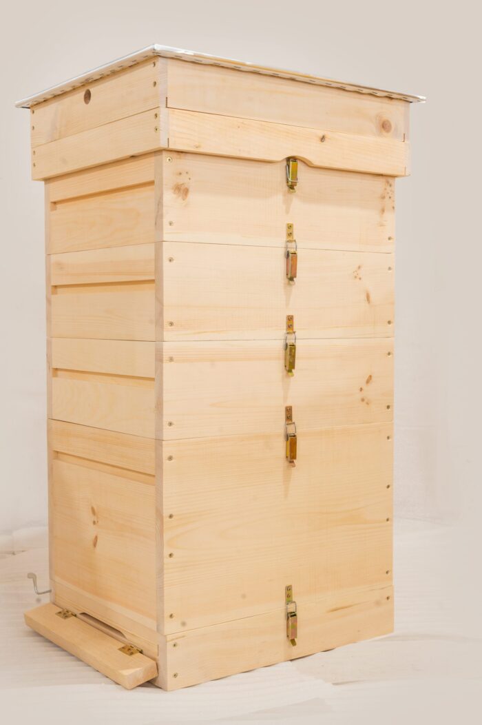 DSC_0273-scaled-1 DSC_0273-scaled-1