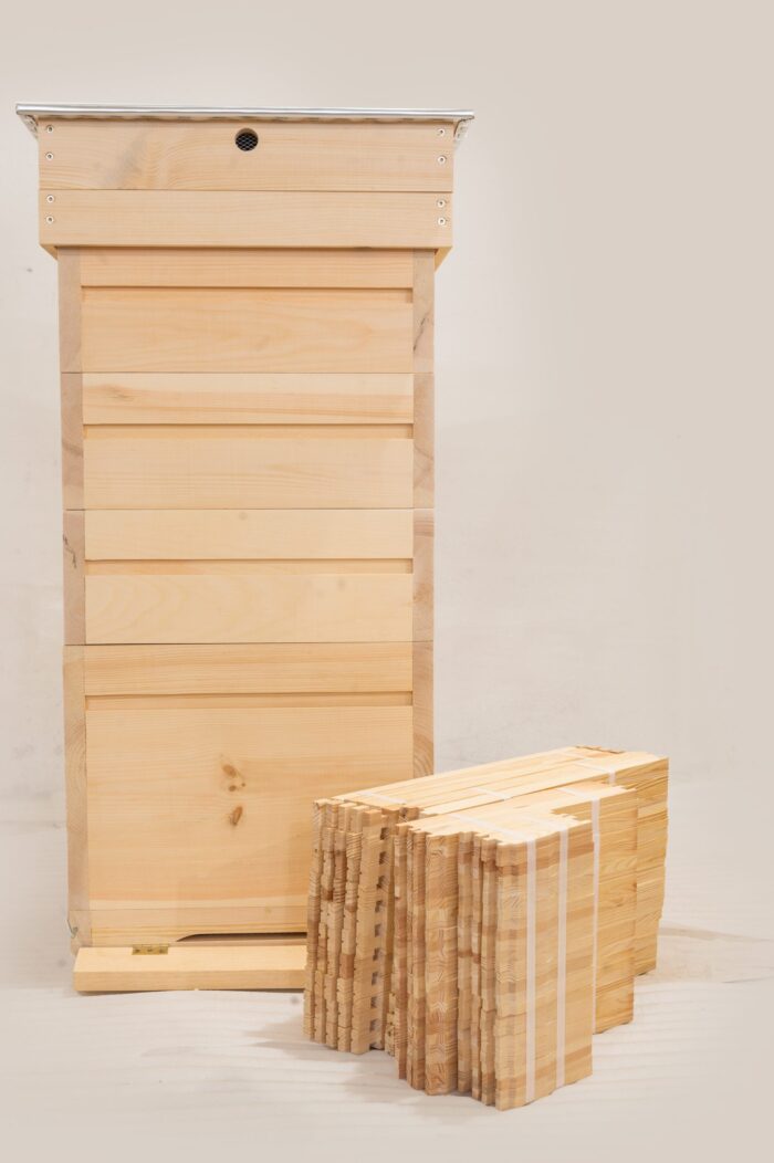 DSC_0277-1-scaled-1 DSC_0277-1-scaled-1