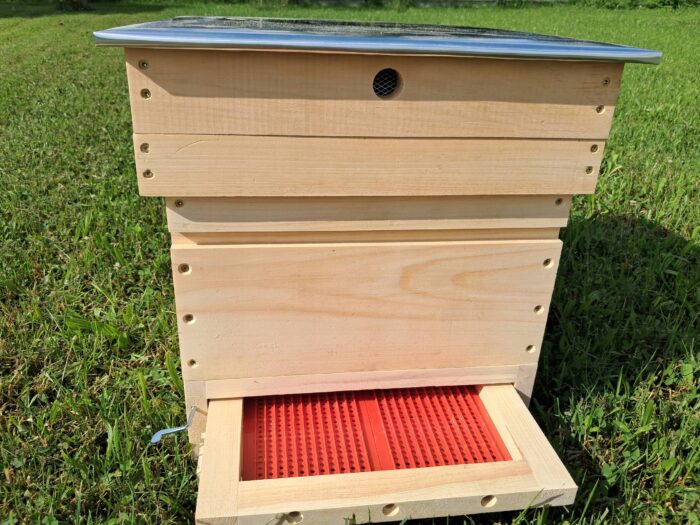 ul-ostrowskiej-1-korpusowy-zestaw-z-dennica-z-polawiaczem-pylku-Producent-CudNatury Ul ostrowskiej 1 korpusowy zestaw z dennica z polawiaczem pylku producent cudnatury